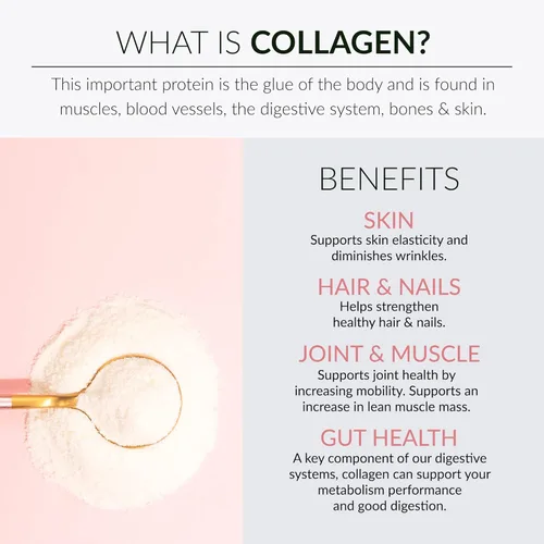 Miniatura 5 de Alaya - Polvo de colágeno múltiple - Suplemento de proteína de péptidos de colágeno hidrolizados tipo I, II, III, V, X, con MSM + GC