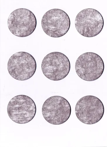 Miniatura 3 de Carpeta Harris Blank para dólares de plata 2665