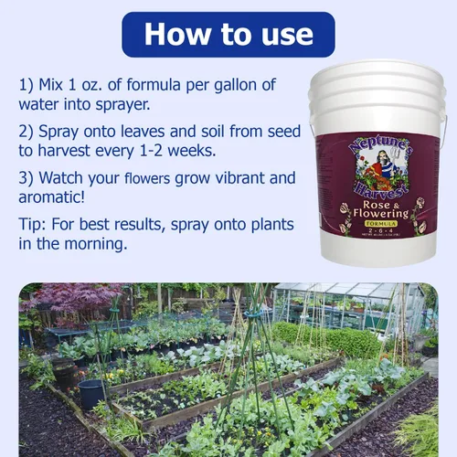 Miniatura 4 de Neptune's Harvest Fertilizante de rosas y flores (2-6-4) - Cubo de 5 galones - Alimento líquido orgánico para flores vibrantes y crecimiento