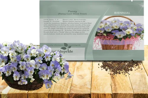 Outsidepride Cool Wave Frost Viola - Semillas de pensamiento para plantar, 15 piezas. Flores biennales, para propagar, resistentes al frío y aptas