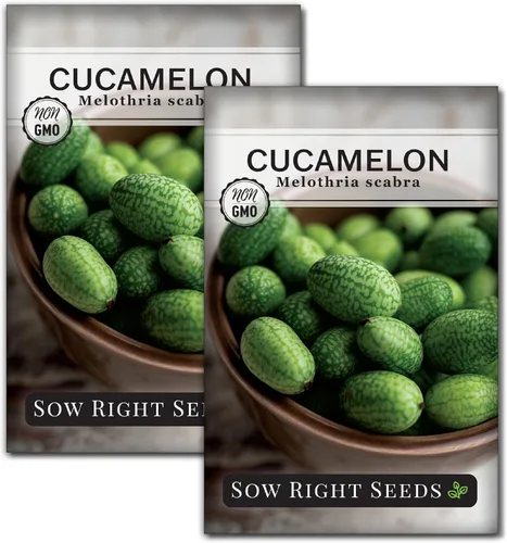Miniatura 7 de Sow Right Seeds - Semillas de Cucamelon para plantar - Paquete de reliquia sin OMG con instrucciones para plantar un jardín de verduras casero al
