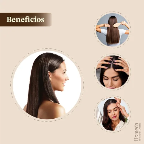Miniatura 3 de Combo de Polvo de Mascarilla Capilar Herbal Shudh Online, Polvo Herbal Ayurvédico Indio para el Crecimiento del Cabello (250g, 8.8oz), Bhringraj