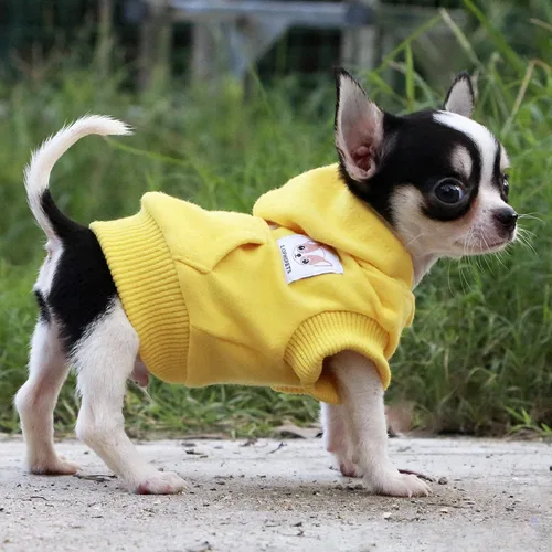 Miniatura 6 de LOPHIPETS Sudaderas con capucha de algodón para perros pequeños, chihuahua, ropa para cachorros, abrigo para clima frío, color amarillo, XS