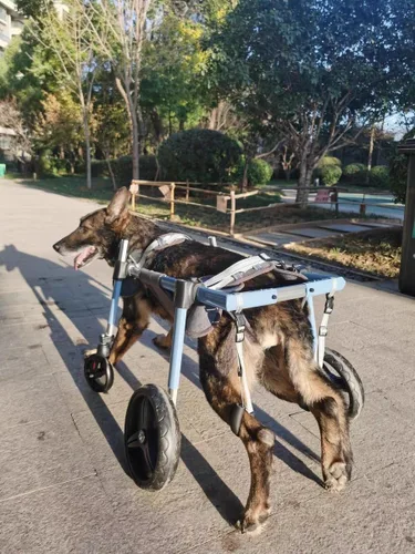 Miniatura 8 de Dog Wheelchair for Back/Front Legs，Adjustable Pet Mobility Cart, All-Aviation Aluminum Frame ，4 Shock-Absorbing Wheels，Comfortable Harness for Small