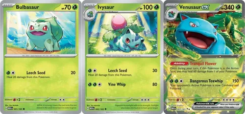 Venusaur ex 003/165 - Pokémon 151 - Doble raro - Set de 3 cartas de evolución - Charmander Charmeleon