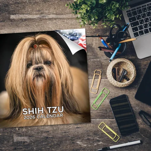 Miniatura 5 de Razas de Perros 2017 Shih Tzu