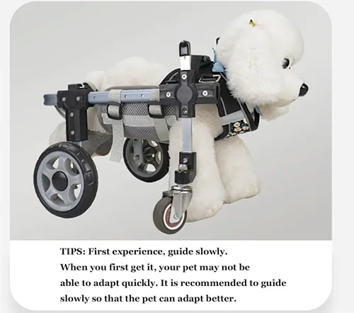 Miniatura 6 de Silla de ruedas para perros de 2/4 ruedas para patas traseras, ajustable y ligera, para mascotas, patas traseras con ruedas, ayuda para la movilidad