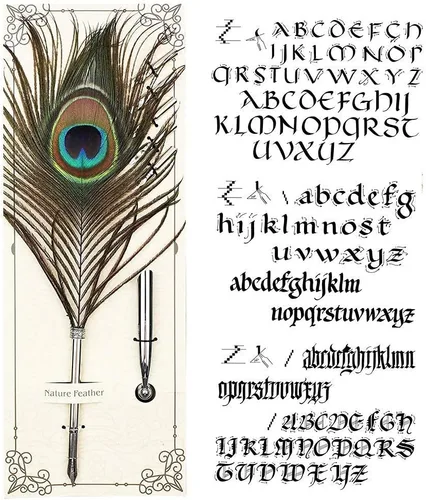 Miniatura 2 de Juego de bolígrafos de plumas de pavo real, caligrafía antigua, bolígrafo de inmersión de tinta con soporte, tinta y 5 puntas de repuesto en caja