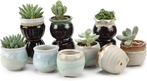 T4U Macetas pequeñas de cerámica para suculentas con drenaje, juego de 12, mini macetas para plantas, decoración del hogar y la oficina, regalos