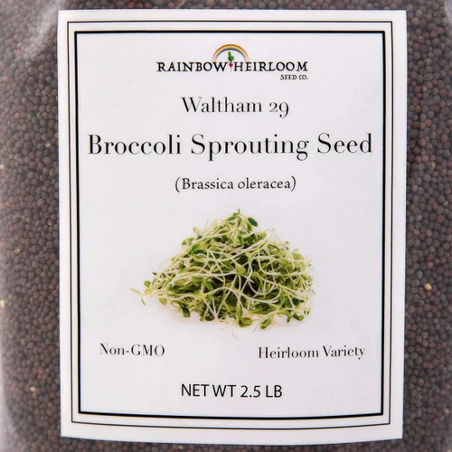 Miniatura 3 de Semillas de brócoli para germinado y microverdes Variedad Waltham 29 Semillas sin OMG y de legado Bolsa resellable de 1.13 kg (40 oz) al por