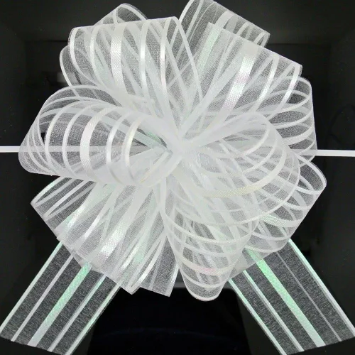 FQTANJU Lazo decorativo, grande, organza, 6 pulgadas, 5 piezas (blanco)
