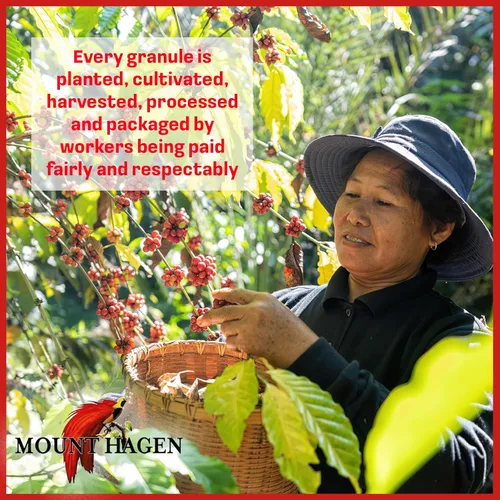 Miniatura 8 de Mount Hagen 25 paquetes de café descafeinado instantáneo de una sola porción – 1 paquete Granos arábica orgánicos descafeinados de tostado medio