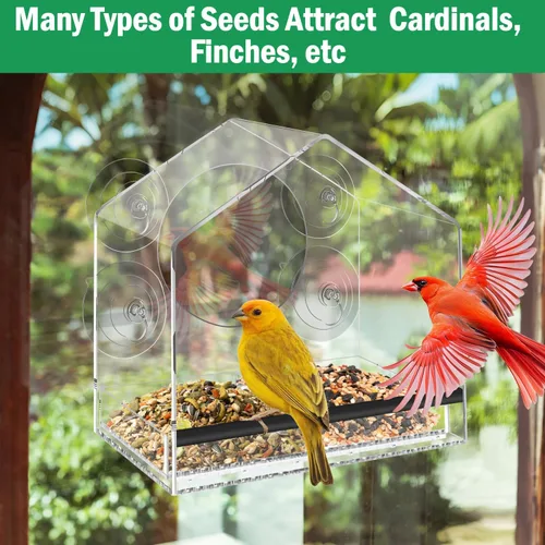 Miniatura 4 de Comedero para pájaros con ventosas fuertes, bandeja extraíble extra profunda de 4.35 pies para gran capacidad, casa de pájaros transparente