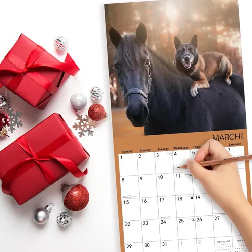 Miniatura 6 de Calendario de pared 2026, calendario 2026, calendario mensual de pared de amistad con animales, 12 x 24 pulgadas abierto, calendario planificador