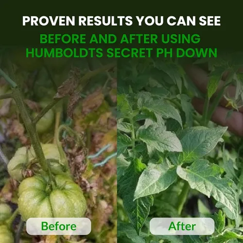 Miniatura 6 de Mejor alimento para plantas y árboles: Golden Tree de Humboldts Secret, crecimiento explosivo, incremento de la producción, recuperador de plantas