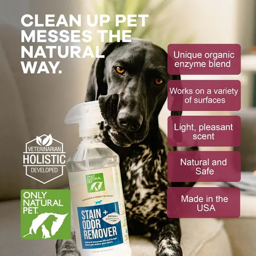 Miniatura 5 de Only Natural Pet - Removedor de manchas y olores con base en enzimas, fórmula derivada de plantas para perros – Funciona en madera dura, alfombra