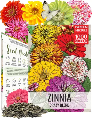Miniatura 13 de Seed Needs Mezcla de semillas de girasol para plantar Sunset Blend 7 variedades Más de 1000 semillas Helianthus Annuus Heirloom Semillas de flores