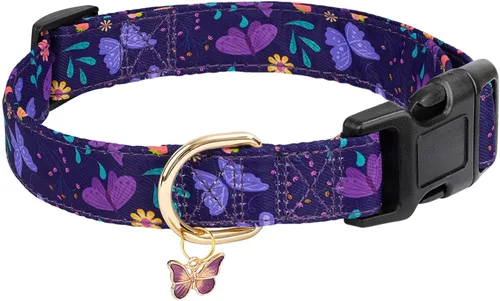 Miniatura 8 de Collares para perros con hebilla ajustable para lindas, hembras, hembras, hembras, machos, collar especial suave y elegante para perros con diseño