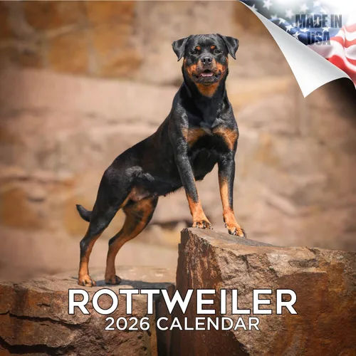 Miniatura 188 de Calendario 2025 2026 de cachorros Cocker Spaniel - Calendario mensual de pared de raza de perro - 12" x 24" abierto - Papel grueso sin sangrado