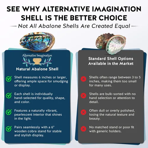 Miniatura 7 de Alternative Imagination Cáscara de abulón seleccionada a mano, 6 pulgadas o más grande, interior pulido de nácar - Plato a prueba de llama