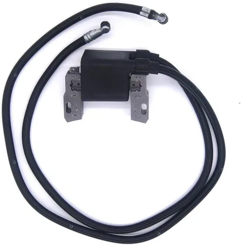 Bobina de encendido para Briggs & Stratton 42A707 42A777 422707 394891 392329 590781 -P#EWT43 65234R3FA720834
