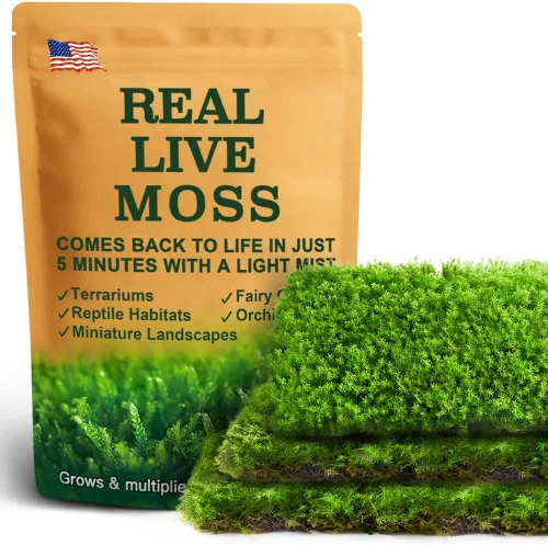 Miniatura 14 de Real Live Moss - Paquete variado (cada uno de 3.5 x 7 pulgadas), musgo real decorativo para terrarios, mini jardines, plantas en maceta y bonsái