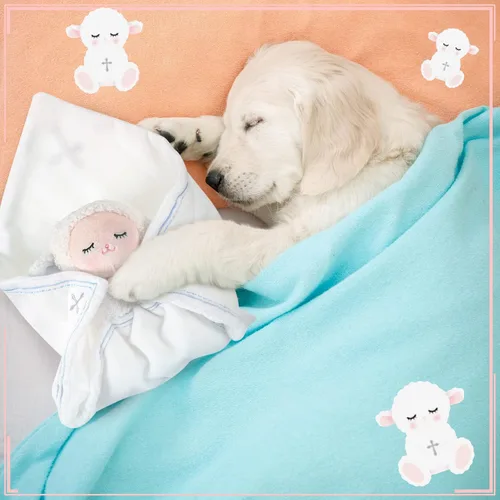 Miniatura 7 de Kinlop Regalos de bautismo para bebés, niñas y niños, mantas de seguridad de cordero, cordero con cruz cristiana, juguete suave para recién nacidos