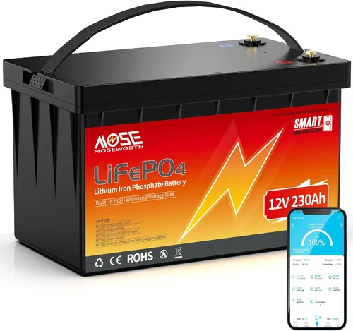 Miniatura 11 de Batería de litio LiFePO4 de 12 V 100 Ah con Bluetooth, BMS integrado, protección a baja temperatura, más de 5000 ciclos, celdas de batería