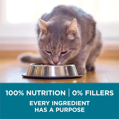 Miniatura 9 de Purina ONE Alimento seco natural para gatos, mezcla con pollo real, bolsa de 22 libras