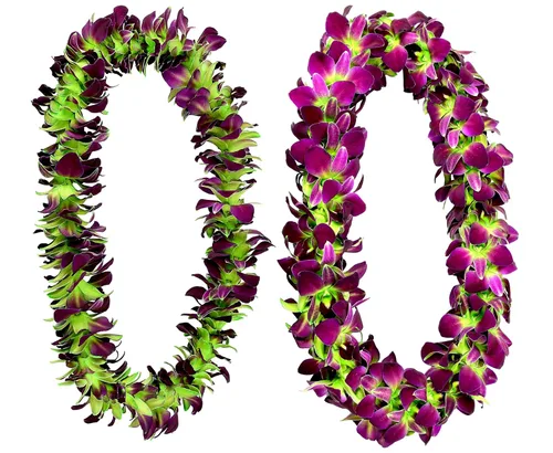 Miniatura 6 de Miami Fresh Orchid Flower OrchidClub USA Sunne Tropical Loose Bloom Head DIY Lei Food Drink Decor GREEN (50 VERDE SAN PATRICK)