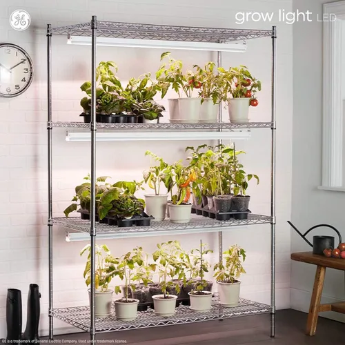 Miniatura 6 de GE Luces de cultivo para plantas de interior, reflector de interior BR30, bombillas LED para flores y frutas, espectro de luz roja avanzado, 25,000