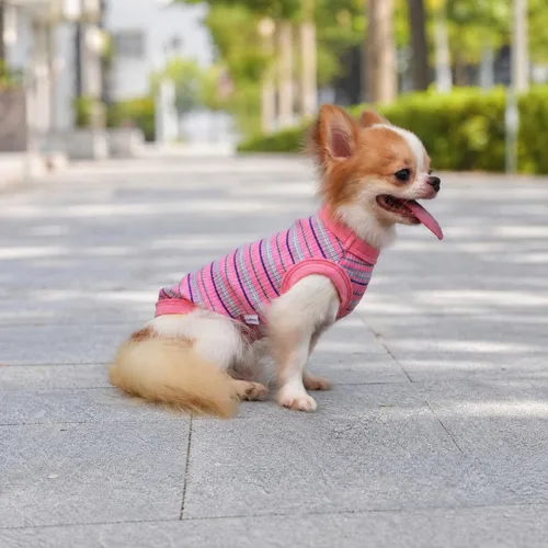 Miniatura 5 de LOPHIPETS Camiseta Chaleco 100% Algodón Acanalado para Perros Pequeños Teacup Chihuahua Yorkie Ropa de Cachorro Camiseta sin Mangas-Rosa/XS