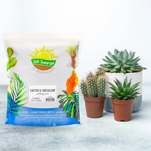 Miniatura 2 de Suelo Sunrise para Cactus y Suculentas para Macetas Mezcla Especial - Drenaje Rápido y Arenoso al Estilo del Desierto (7,57 litros)