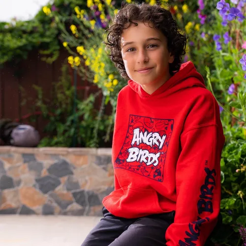 Miniatura 3 de Angry Birds Sudadera oficial de Comic Fill Box con capucha para niños, niñas, unisex