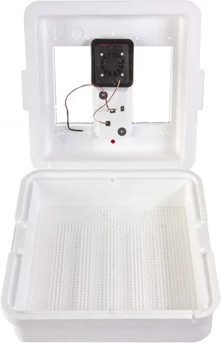 Little Giant® Incubadora digital de aire fijo | 41 huevos | Incubadora de huevos con control de temperatura y humedad | Incubadora de pollos