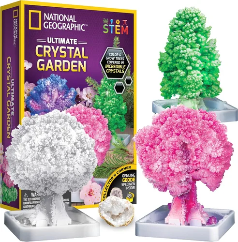 National Geographic - Kits de manualidades para niños – Kit de cultivo de cristal – Cultiva un jardín de cristal en solo 6 horas, artesanía