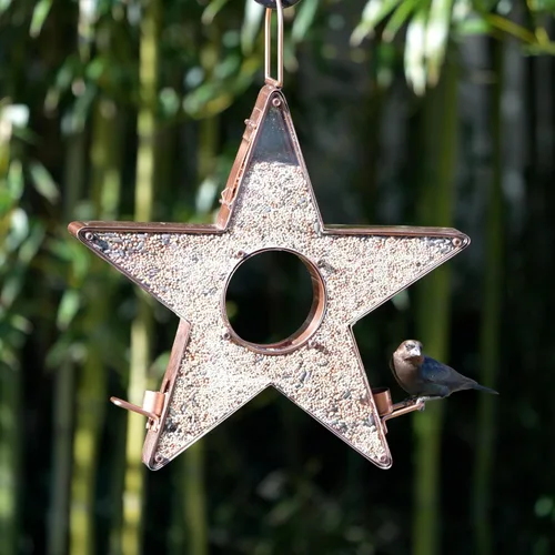 Miniatura 2 de Good Directions Alimentador de estrellas con plexiglás