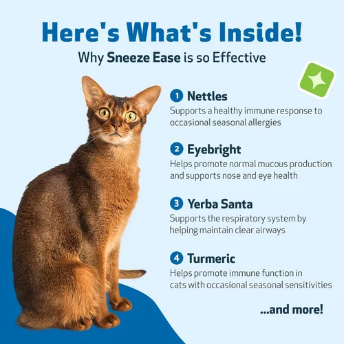 Miniatura 6 de Pet Wellbeing Estornudar para gatos - Estornudos ocasionales, alergias estacionales, molestias en la nariz y los ojos, ojos y ortigas, suplemento