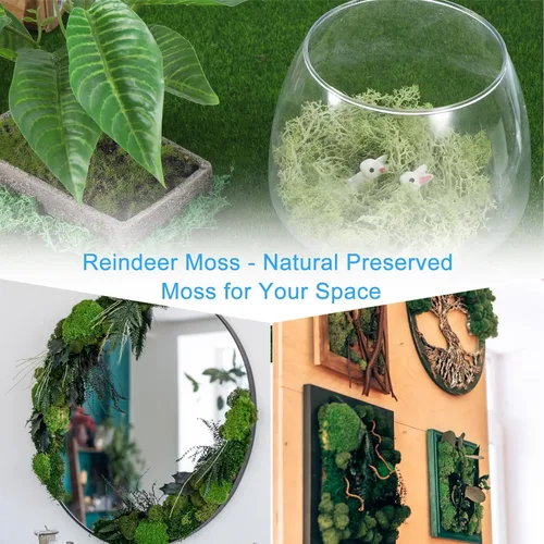 Miniatura 6 de MECCANIXITY Musgo artificial de musgo de 3.5 onzas, musgo artificial preservado natural para manualidades, manualidades, proyectos florales, Negro