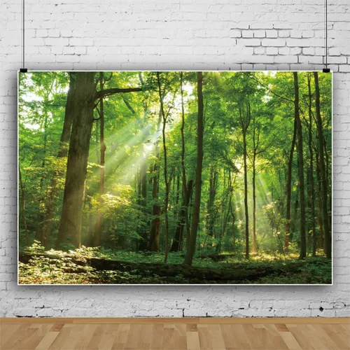 Miniatura 2 de Telón de fondo de bosque pacífico de 5 x 3 pies para fotografía, árboles verdes, fondo de sol para camping, suburbios, picnic, fiesta, decoración