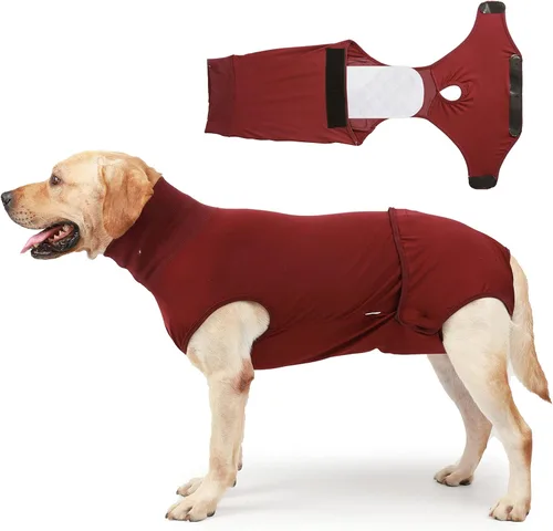Miniatura 7 de HEYWEAN Pañal para perros de cuerpo completo con pañales para cachorros, traje de recuperación fisiológica para perros machos y hembras Negro clásico