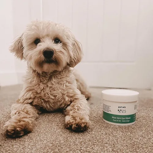 Miniatura 7 de pet wiz Toallitas de ojos de aloe vera para limpiar perros y gatos - Extra grandes