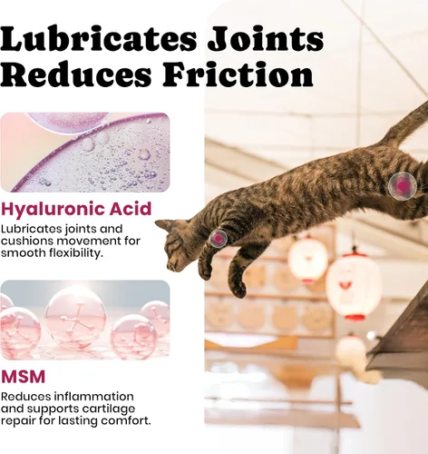 Miniatura 6 de Glucosamina para gatos, suplemento para articulaciones de gatos con condroitina, omega-3 y mejillón de labios verdes, alivio del dolor, golosinas
