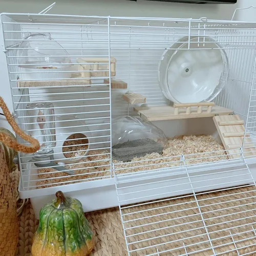 Miniatura 2 de Plataforma de madera con escalera, estructura de actividad para mascotas, pájaro, chinchilla, conejillo de indias, hámster, accesorios de jaula