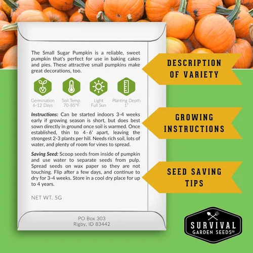 Miniatura 2 de Survival Garden Seeds - Semillas pequeñas de calabaza de azúcar para plantar - 1 paquete con instrucciones para cultivar calabazas de pastel