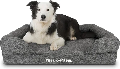 Miniatura 36 de The Dog's Bed - Cama ortopédica de espuma viscoelástica para perros medianos, colchón de soporte de alta densidad, entrada frontal baja, funda negro