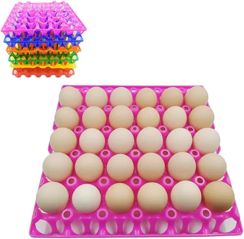 Paquete de 6 bandejas de plástico para huevos de pollo para productos agrícolas, estantes para huevos, pato, 30 bandejas para poner huevos para