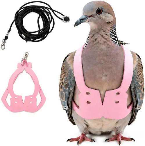 Miniatura 13 de Juego de arnés ajustable y correa para pájaros pequeños, apto para periquitos, conures, cacatúas, mejillas verdes, loros cuáqueros (verde, XS) 6350-6