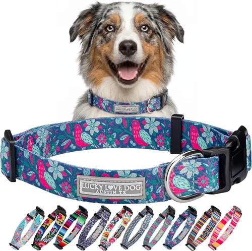Miniatura 27 de Lucky Love Dog - Collar para perras pequeñas, diseño Blackbird de estampado alegre con flores de primavera y verano, talla XS