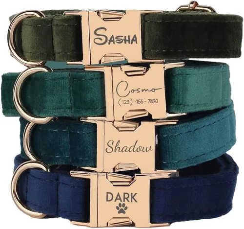 Miniatura 7 de Juego de arnés de terciopelo, regalo para dueños de mascotas, collar personalizado con nombre y número de teléfono, collar y correa personalizados